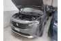 2021 Peugeot 3008, Dyzelinas